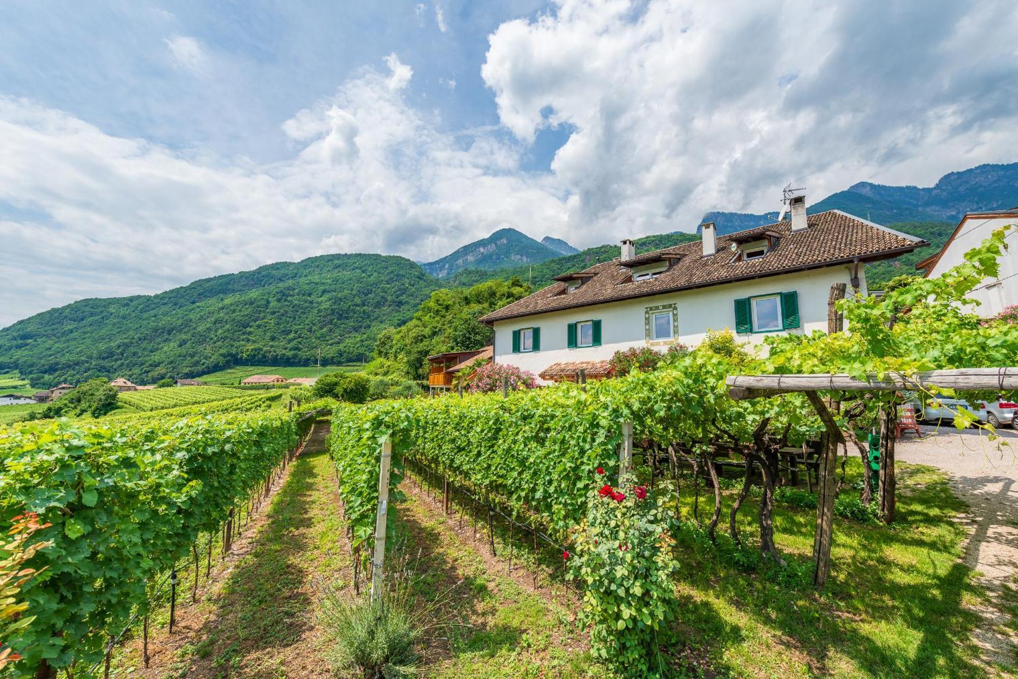 Weinhof Am See Caldaro Luaran gambar