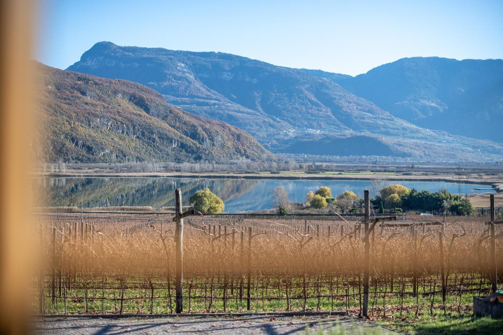 Weinhof Am See Caldaro Luaran gambar